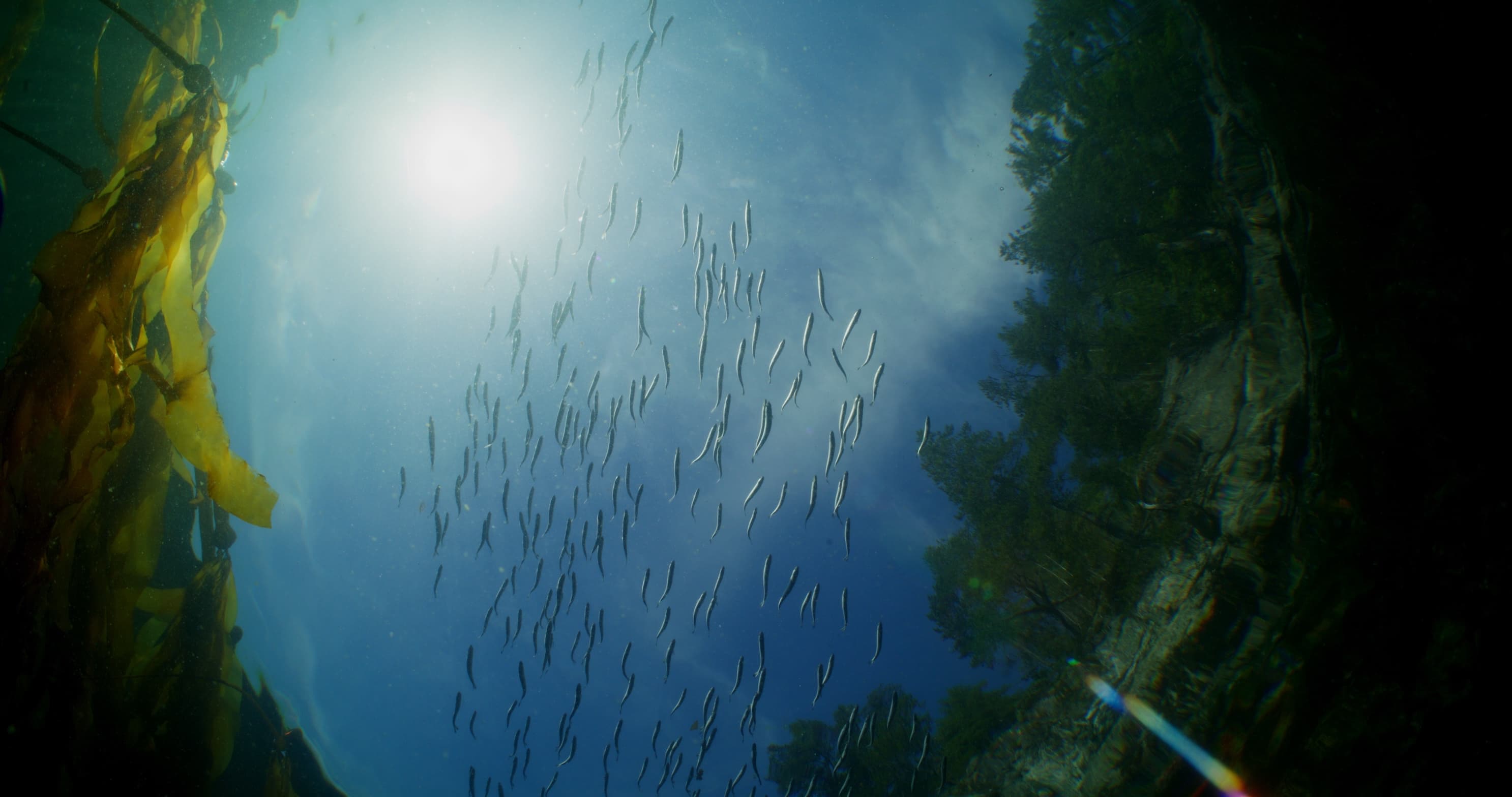 Upstream_Odyssey_GSCA_Promo_Stills_4096x2160_8bit_20250222_04 (1)