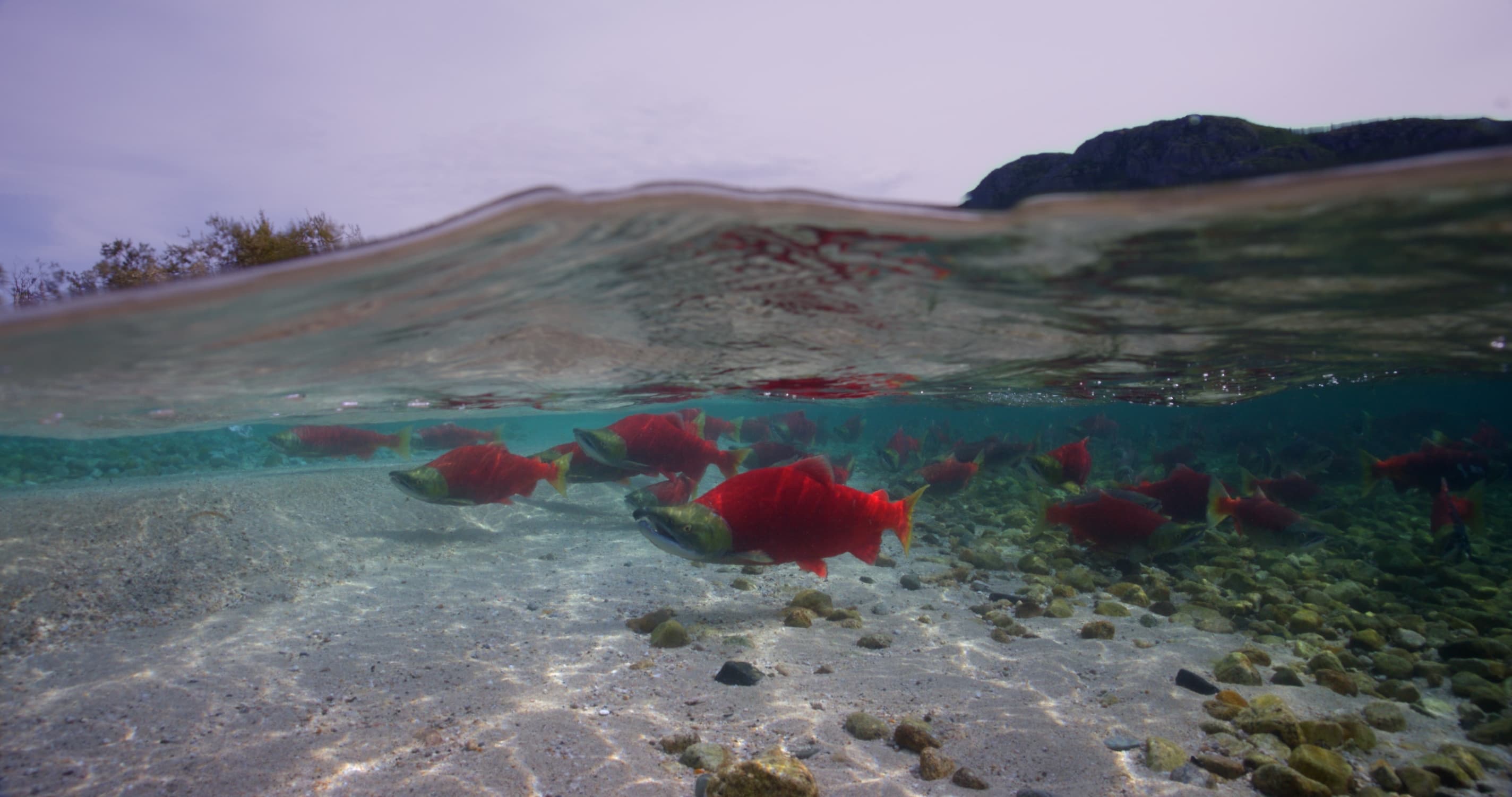 Upstream_Odyssey_GSCA_Promo_Stills_4096x2160_8bit_20250222_26 (2)