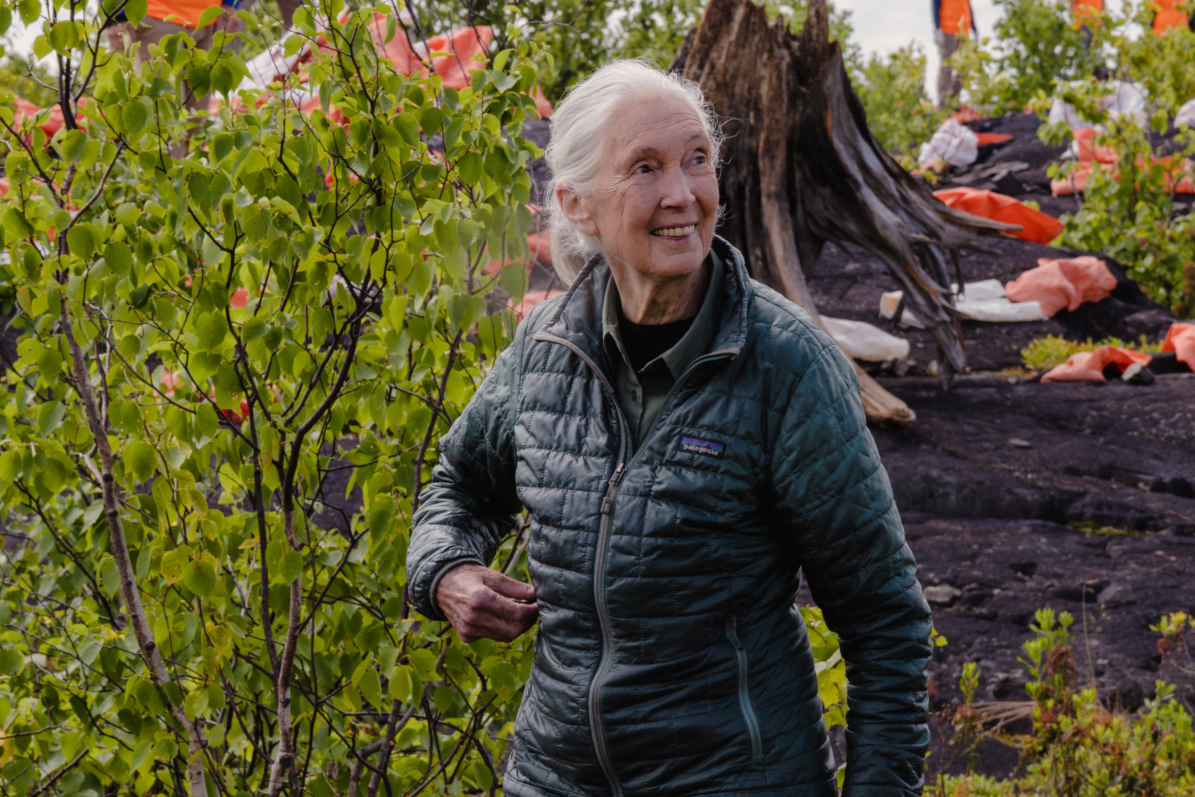 0F2A0933 - Jane Sudbury