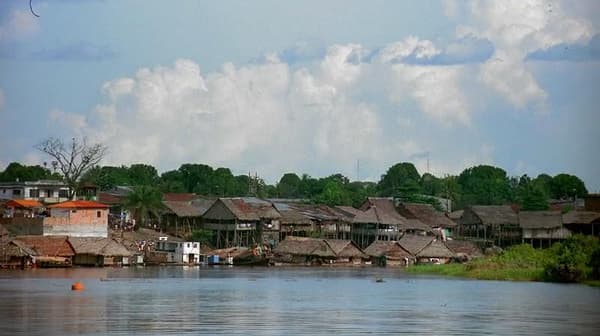 p2239841846