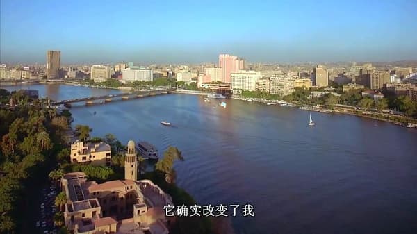 p2175025821