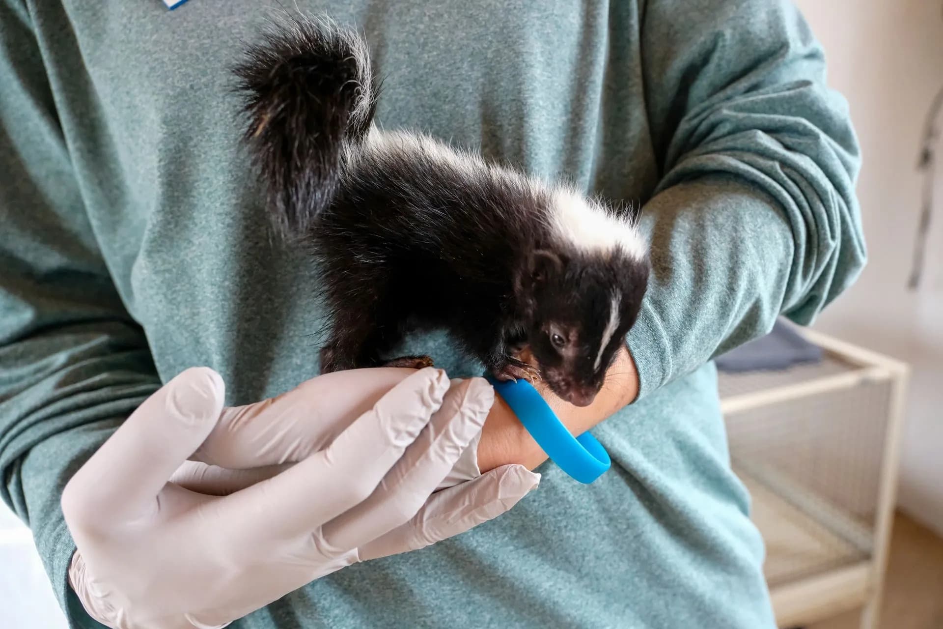 DSCF2259-1920w