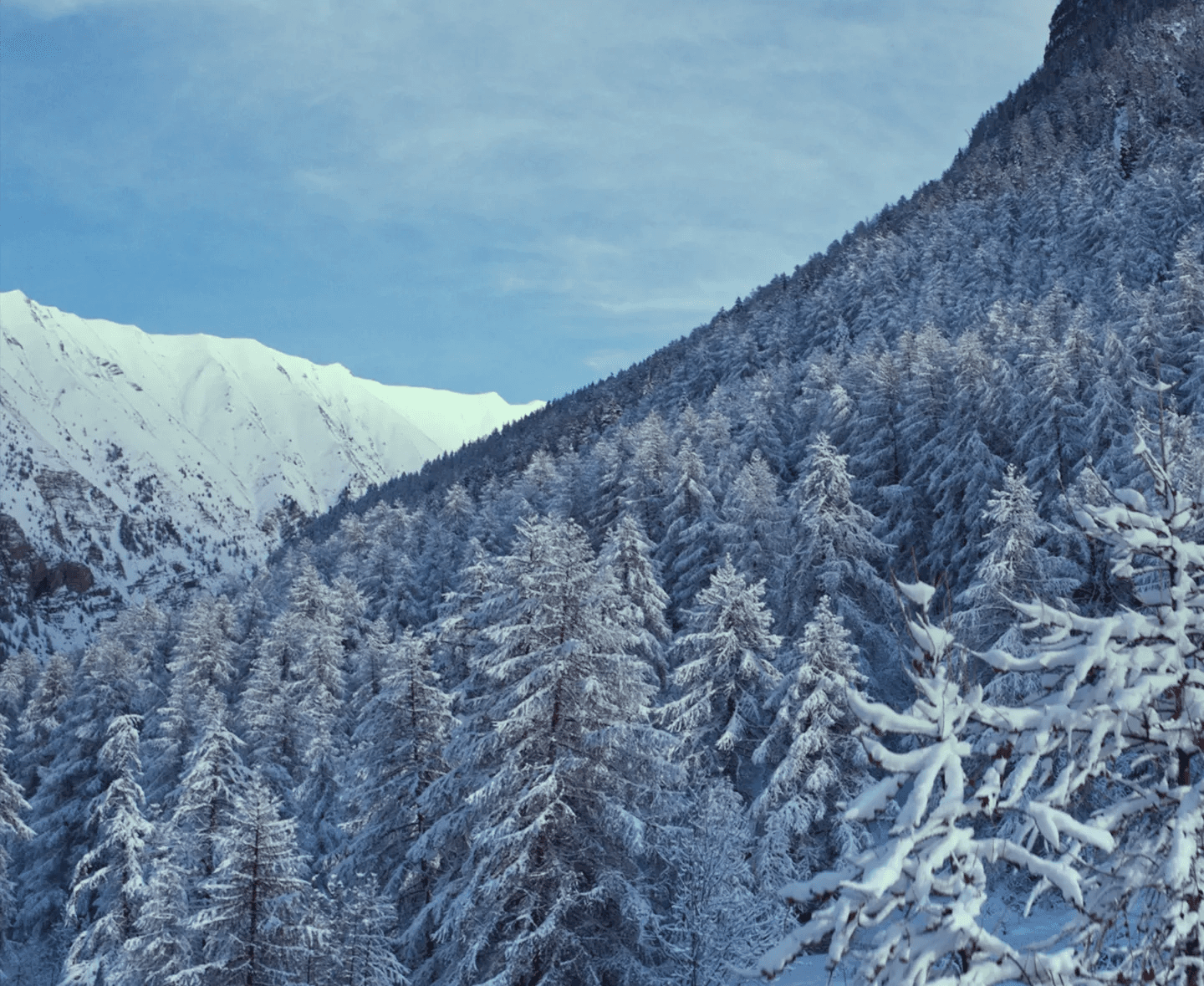 ezgif_com_gif_maker_f6b7f8359a