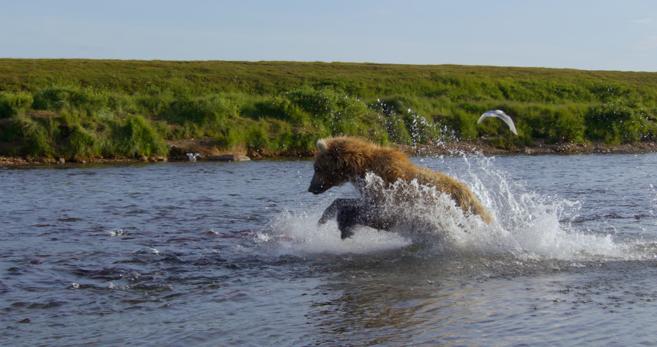 Upstream_Odyssey_GSCA_Promo_Stills_4096x2160_8bit_20250222_25 (2)