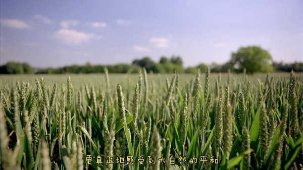 p2228740032