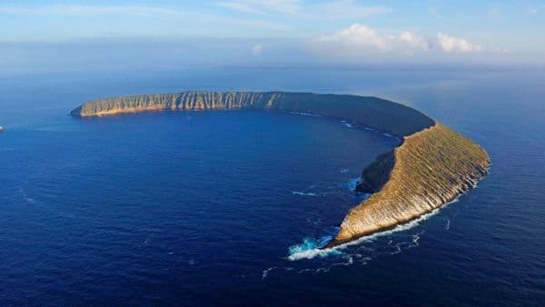 Galapagos_Still_0003-1227-600-450-80