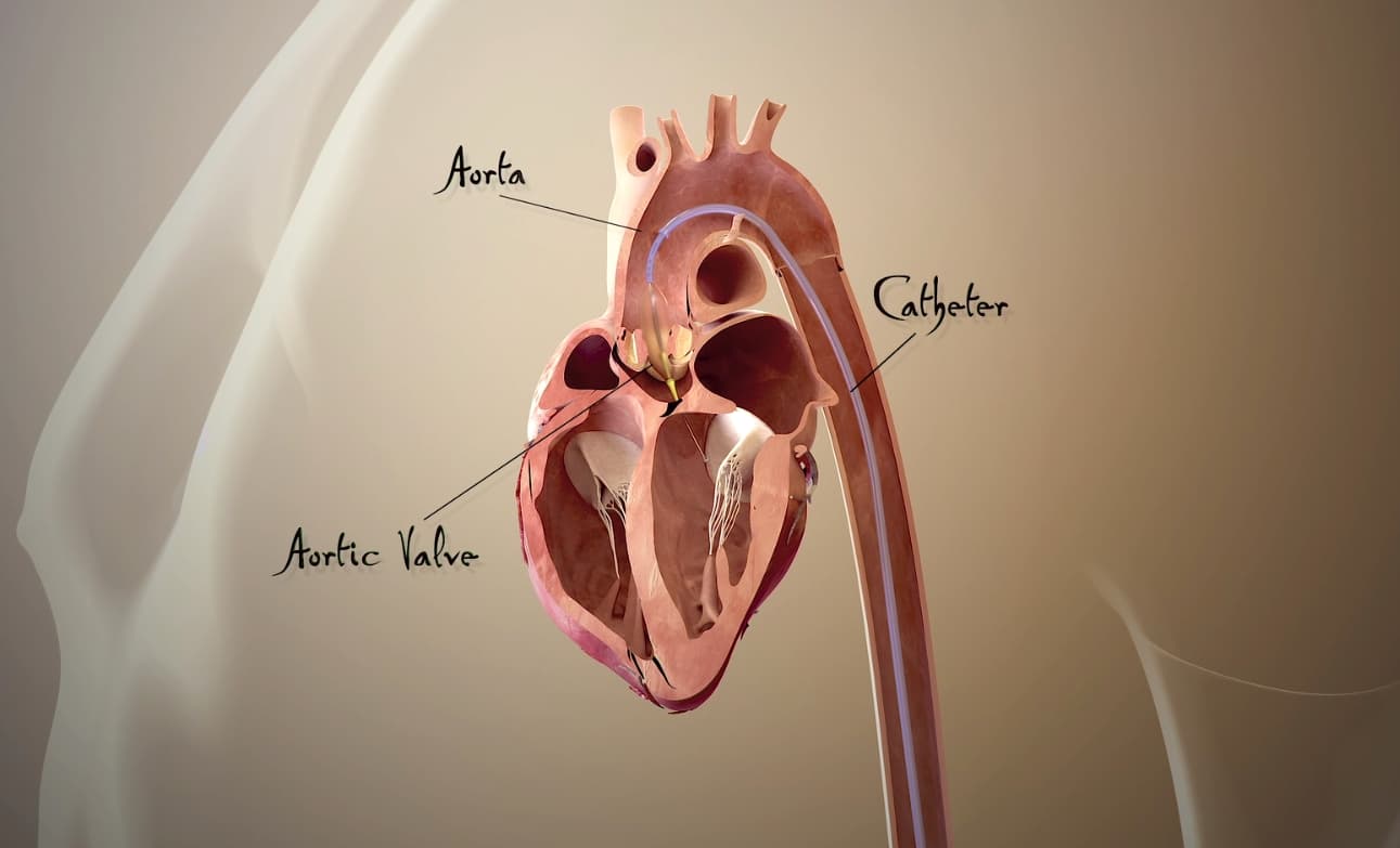 Super Human Body 3