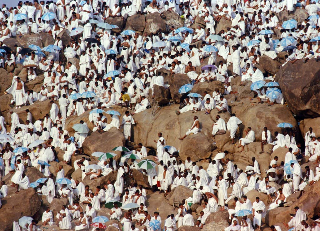 8-Arabia