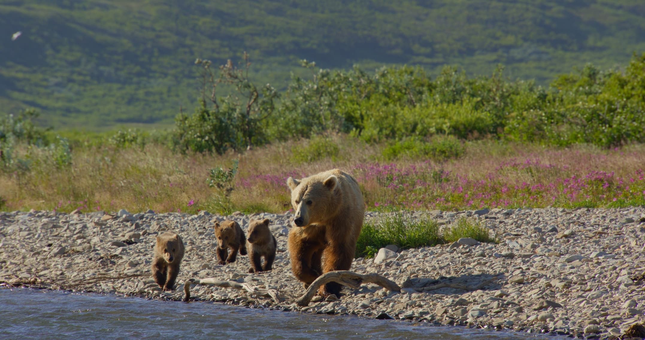 Upstream_Odyssey_GSCA_Promo_Stills_4096x2160_8bit_20250222_40