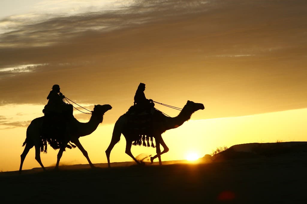 9-Arabia