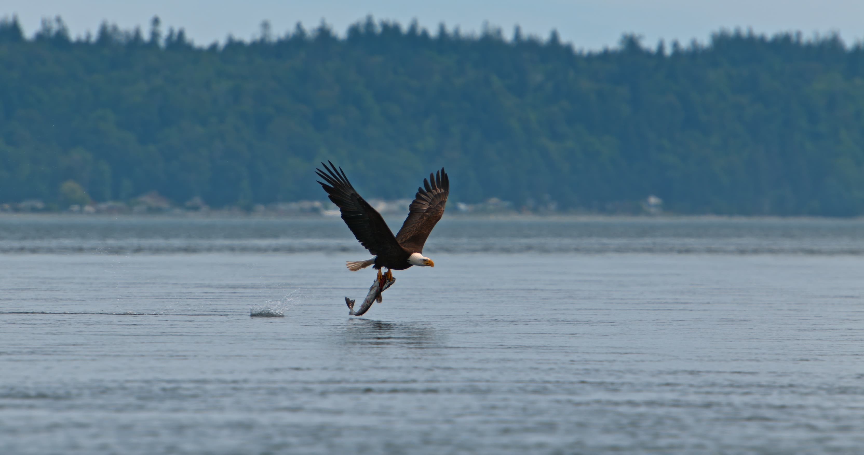 Upstream_Odyssey_GSCA_Promo_Stills_4096x2160_8bit_20250222_42 (1)
