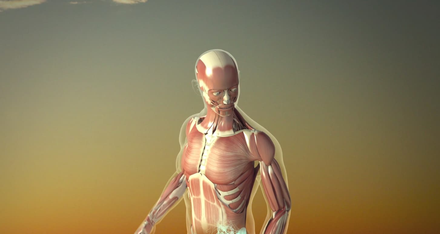 Super Human Body 1